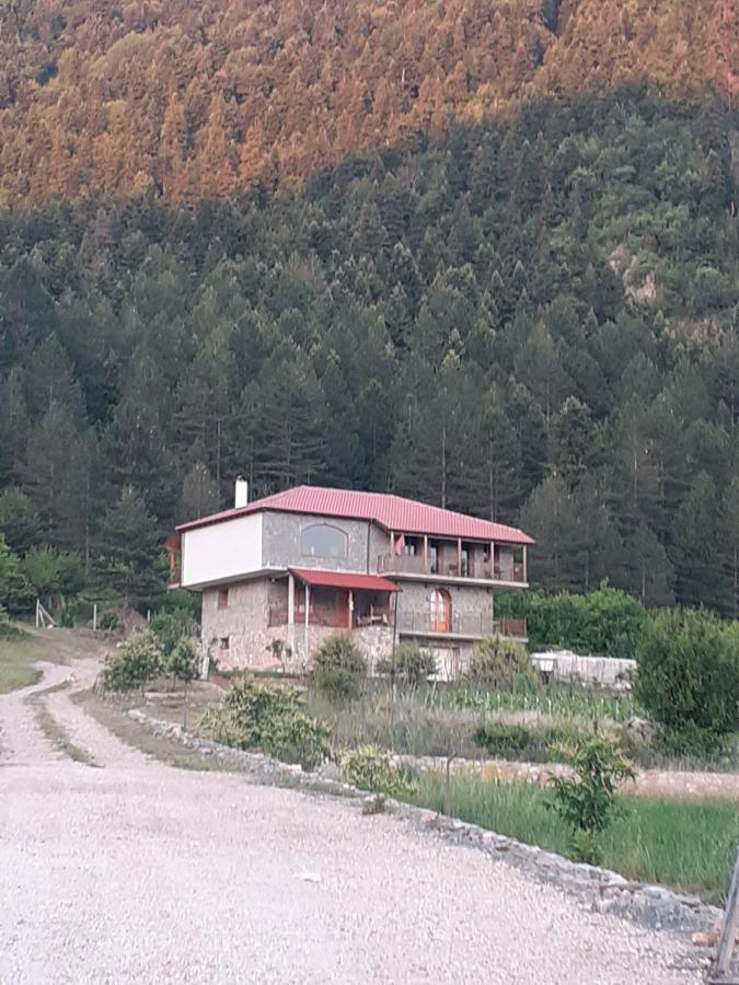 Bujtina Vila Dodo Leskovik 외부 사진