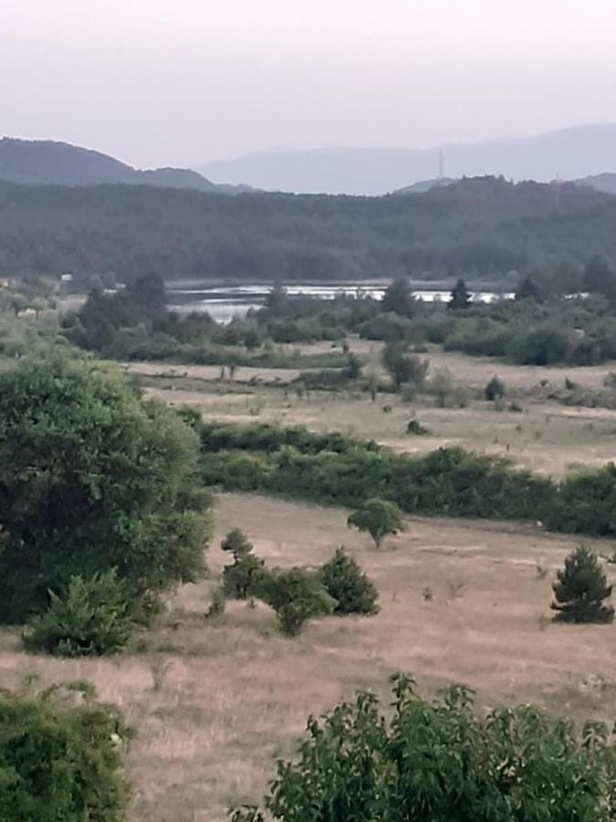 Bujtina Vila Dodo Leskovik 외부 사진
